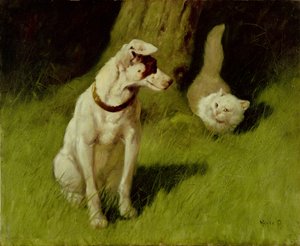 Biały kot perski i Jack Russell