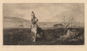 Zając Le Hare, 1865.