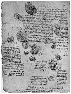 Schemat wiru krwi w sercu, koniec XV lub początek XVI wieku 1954 autorstwa Leonardo da Vinci
