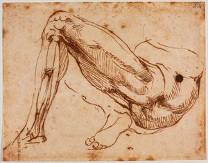 Badanie nóg autorstwa Michelangelo Buonarroti